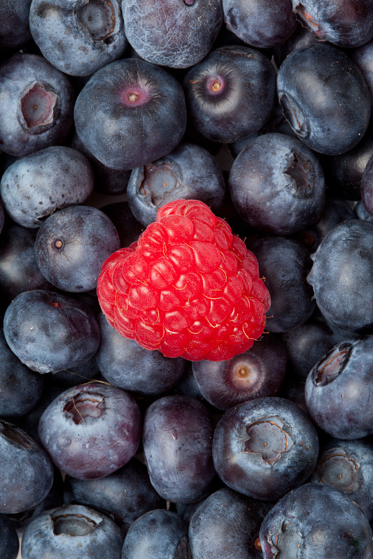高视角下，树莓在蓝莓中间图片下载