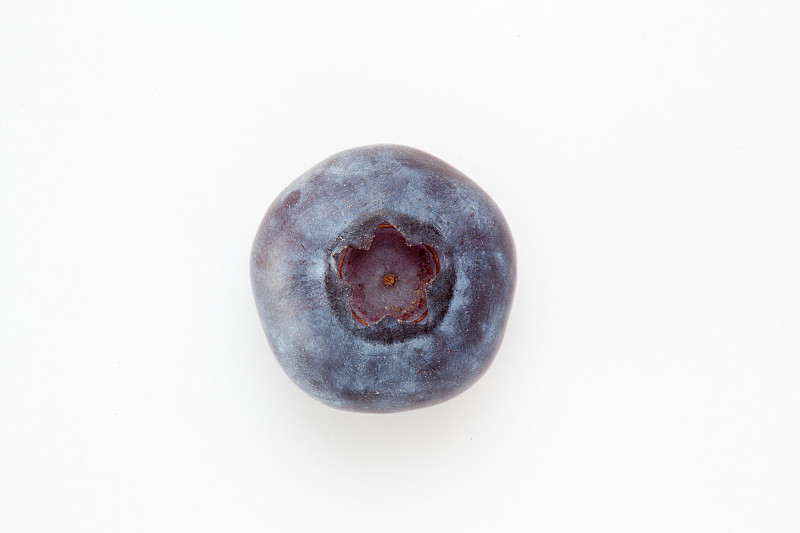 白色背景下的蓝莓图片下载