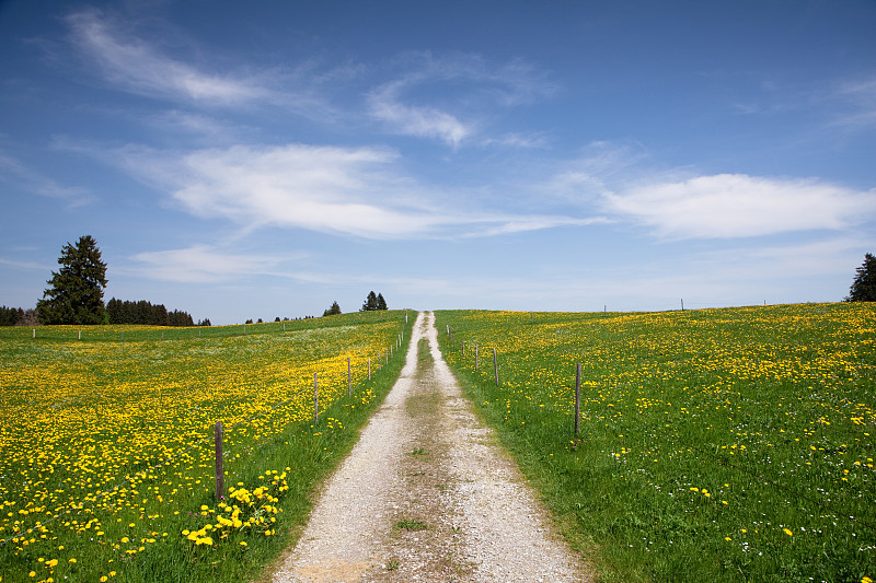 草地上的小路，春天，巴伐利亚-德国图片下载