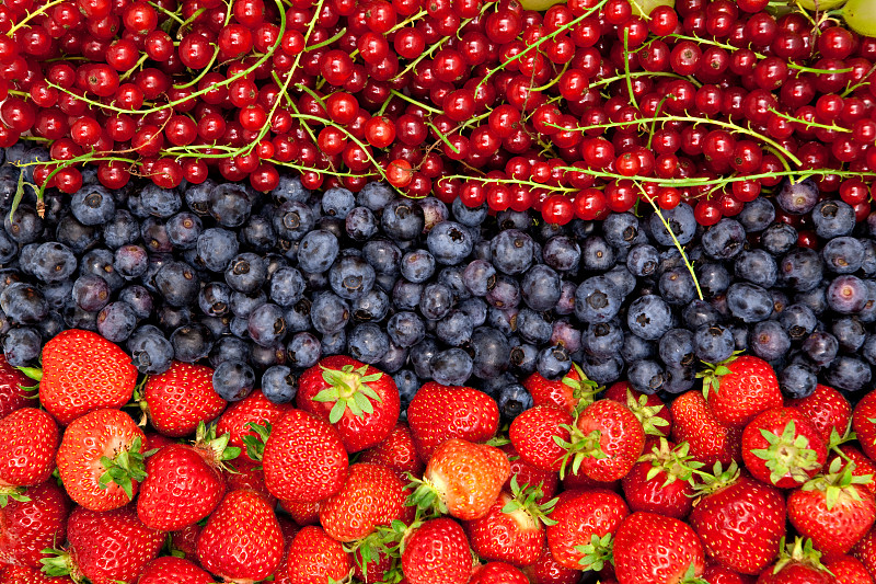 草莓、蓝莓和红加仑子图片下载