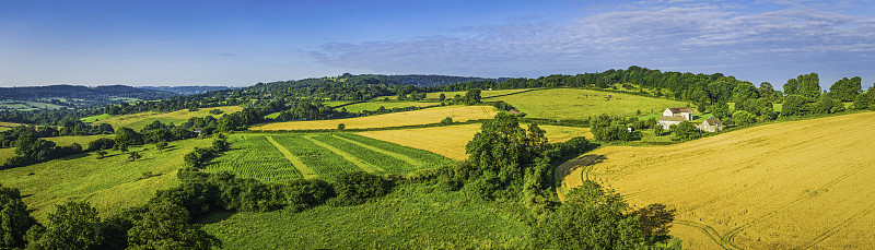 田园诗般的乡村景观，绿色的夏季田野，金色的庄稼航拍全景图片下载