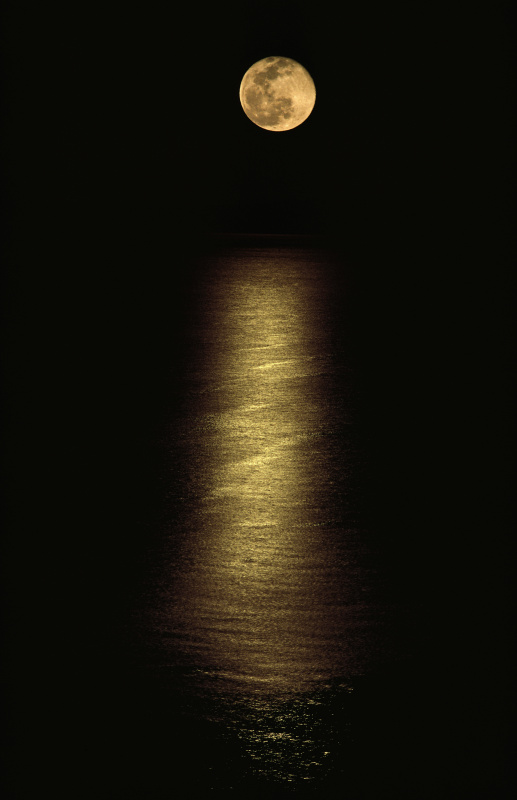 海上月光图片下载