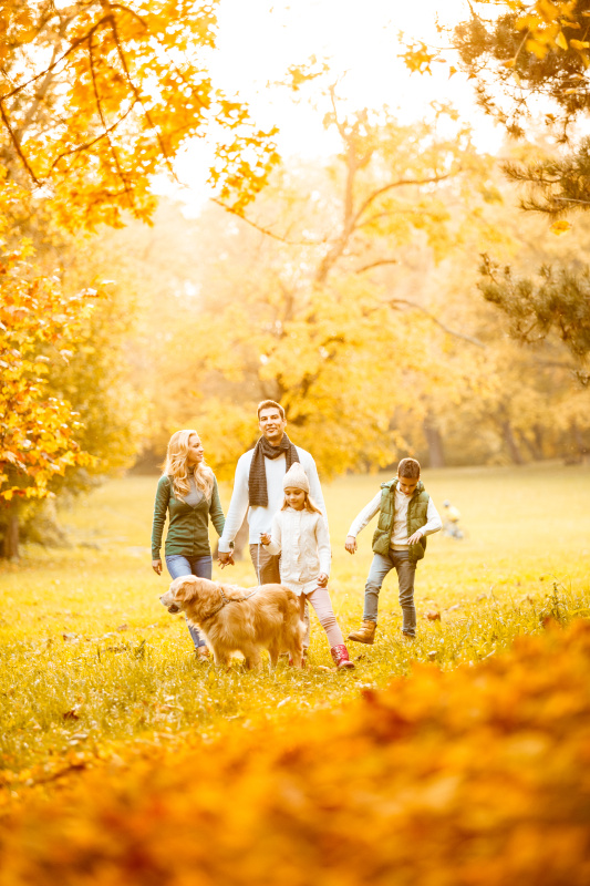 一家人在秋季公园和他们的狗图片素材