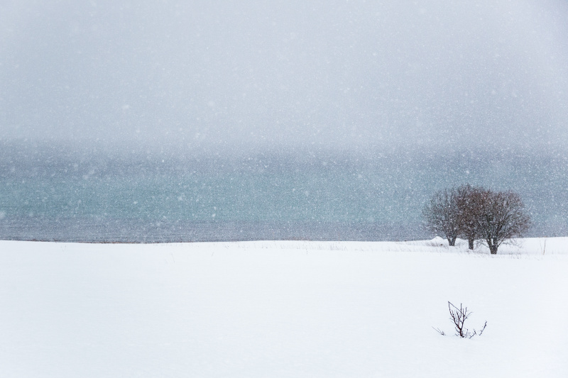雪地上迎海的风景图片素材