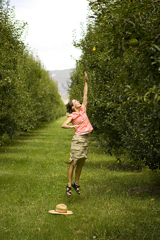 果园里的女人把手伸向梨树图片下载