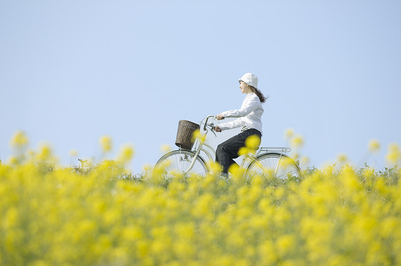 年轻女子骑着自行车沿着油菜地行进图片下载