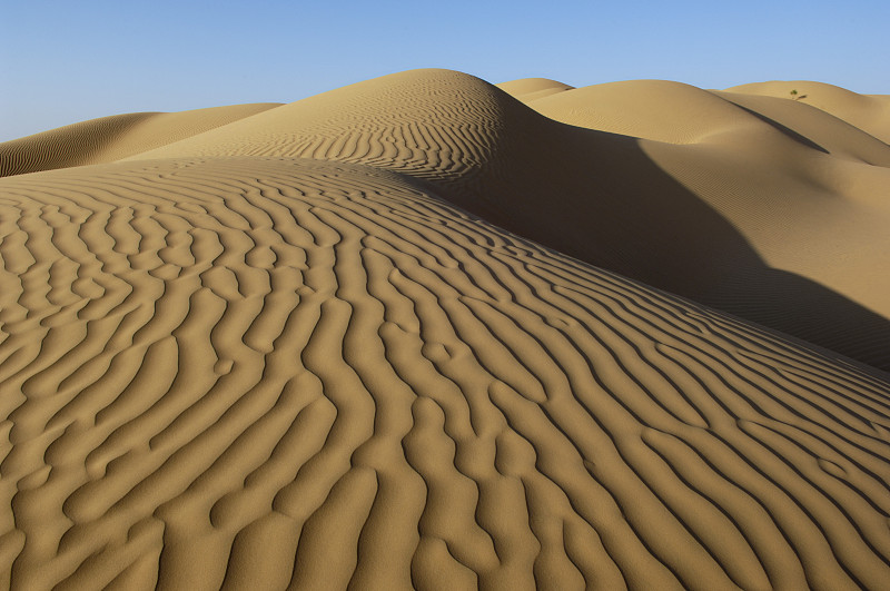 鲁卜哈利沙漠，佐法尔地区，阿曼图片素材