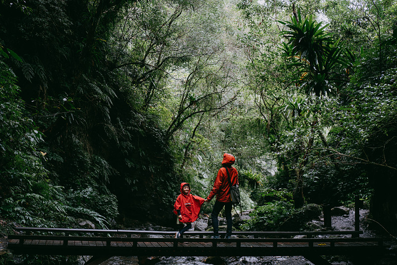 父亲和小女孩徒步在雨中的热带雨林，台湾图片下载