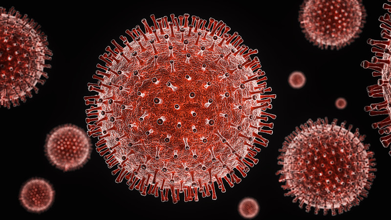 冠状病毒结构图片下载