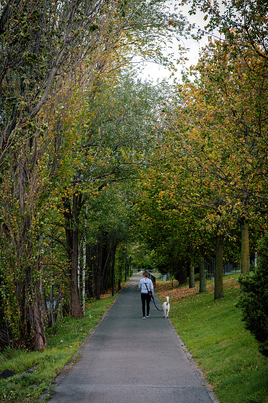 图为一位女士和一只狗在列支敦士登首都瓦杜兹郊区的公园里散步图片下载