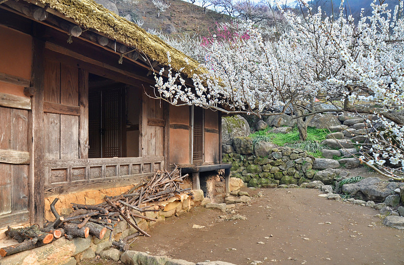 传统的韩国房子(韩屋)在光阳，韩国图片下载