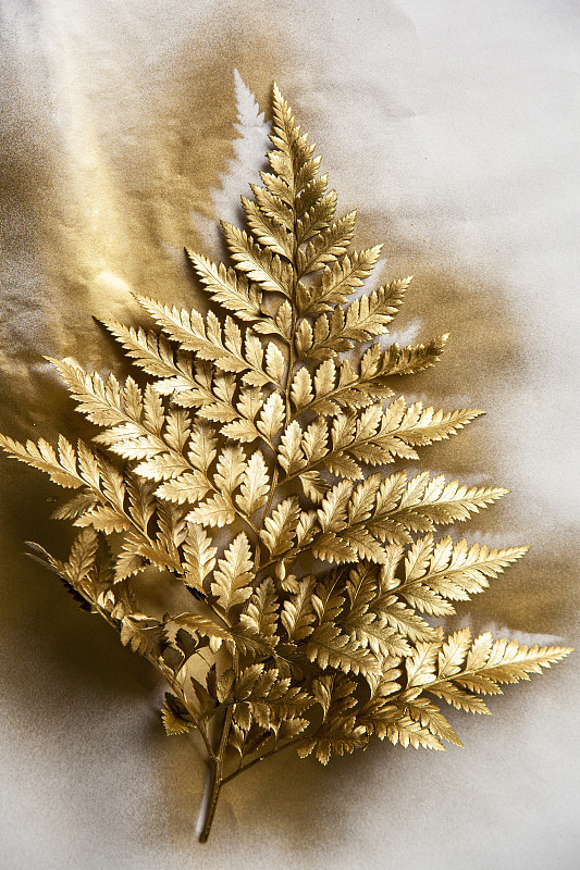 用金色染料绘制的天然树枝图片素材