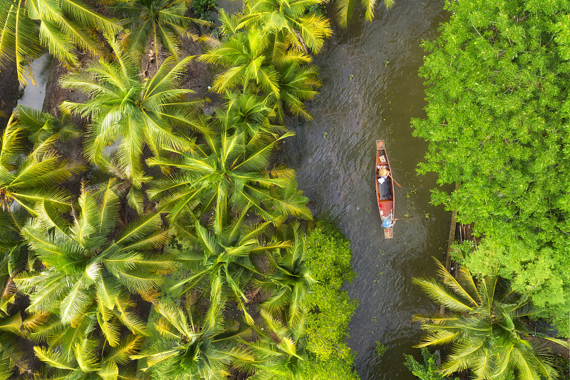 在椰子树上划船的不认识的人图片下载