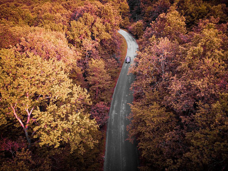 鸟瞰图的汽车行驶在蜿蜒的道路通过秋天的森林图片素材