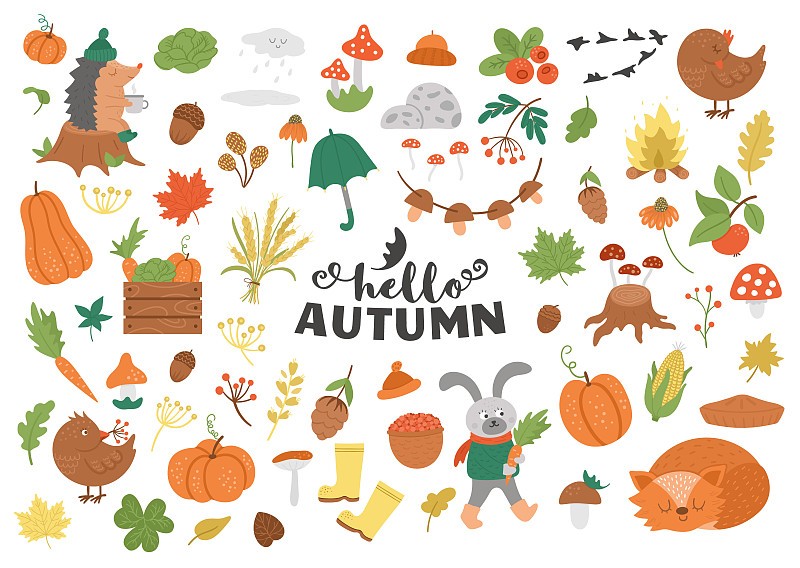 大的向量秋季剪贴画集。可爱的秋季图标包的印花，贴纸。有趣的插画森林动物，南瓜，蘑菇，树叶，天气元素，收获，蔬菜，鸟类下载