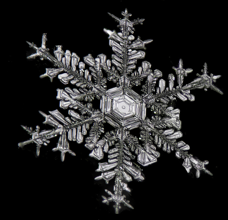 黑色背景上的雪花的极端特写，结构和自然模式图片下载