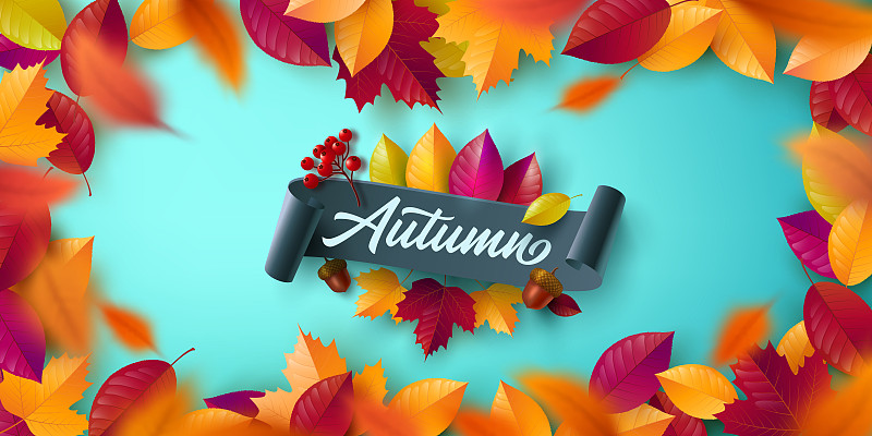 秋季海报和横幅模板与五颜六色的枫，橡树秋天的树叶。问候和礼物秋季在平躺造型。秋季或秋季概念的推广模板图片下载