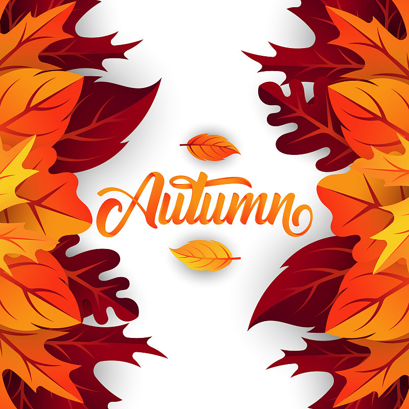 秋天背景向量与装饰的叶子。秋天的秋天矢量背景模板。秋天的背景设计模板为广告，海报，横幅，传单，邀请，网站或贺卡图片素材