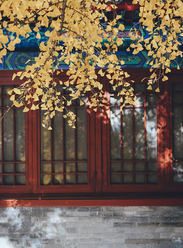 北京的秋天图片素材