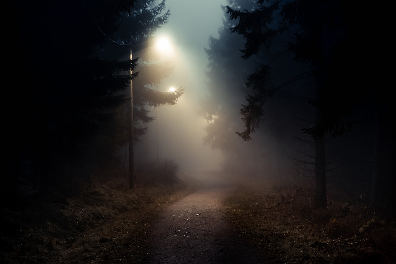 黑暗而雾蒙蒙的森林里的一条土路图片下载