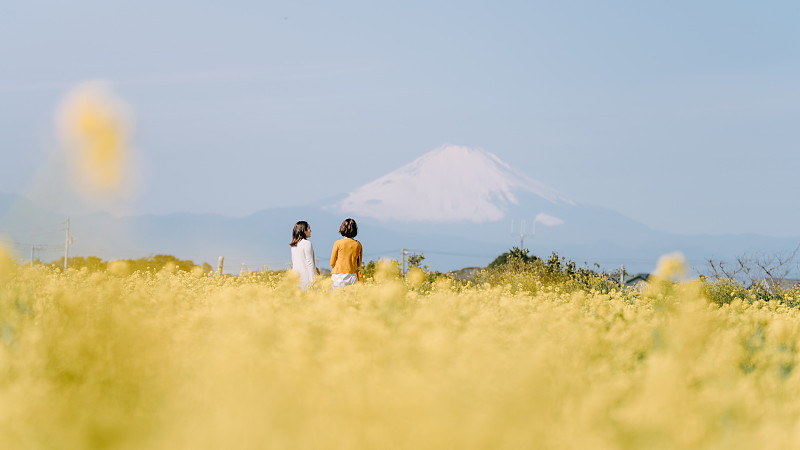 两个女人看着富士山与油菜花田，日本图片下载