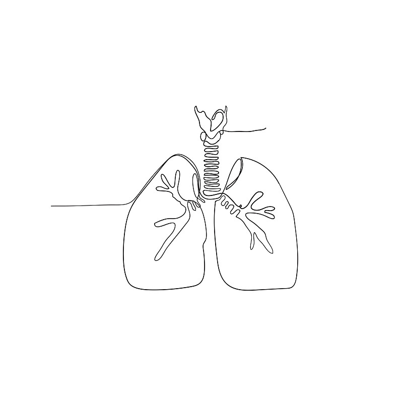 肺部解剖图手绘创意图片