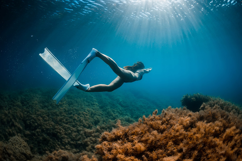 自由潜水女孩用自由潜水鳍和海藻在海底滑翔。和女人在蓝色的海洋里自由潜水，享受美丽的阳光图片下载