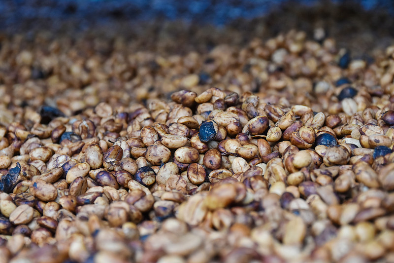 烤咖啡豆。背景咖啡。咖啡豆特写。摄影图片