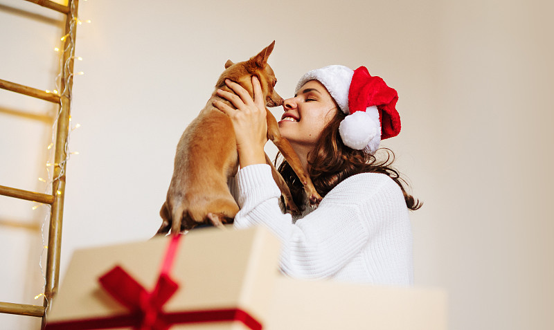 戴着圣诞帽的女人手里拿着圣诞礼物的小狗。图片下载