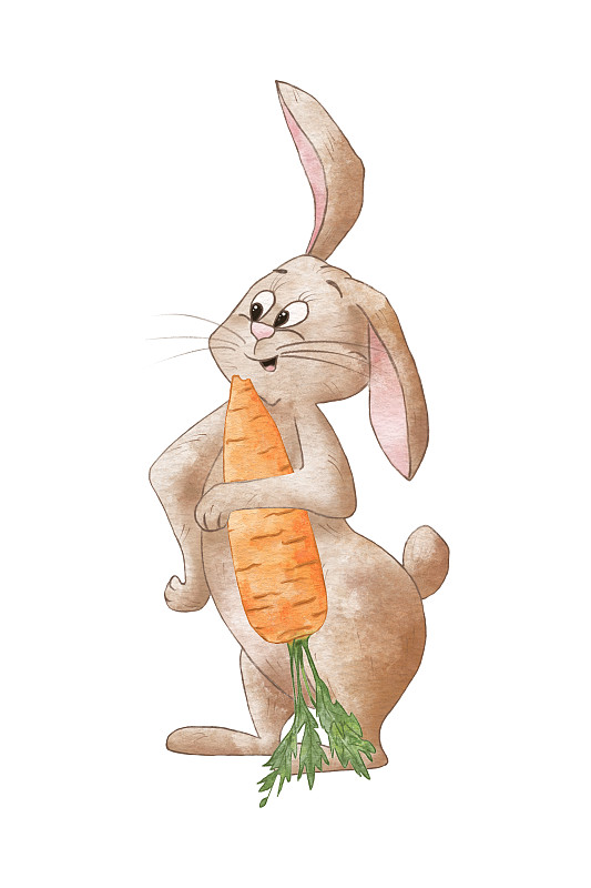 有趣的水彩画兔子和胡萝卜。白色背景上孤立的兔子的插图。儿童宠物插图。的动物。棕色的兔子图片下载
