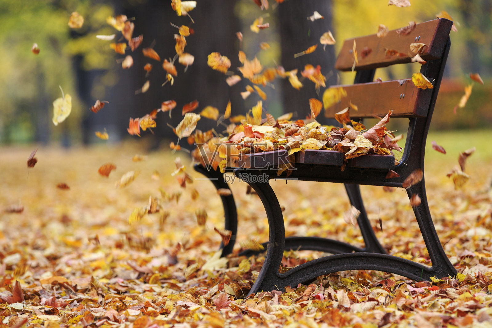 秋天公园的长椅照片摄影图片