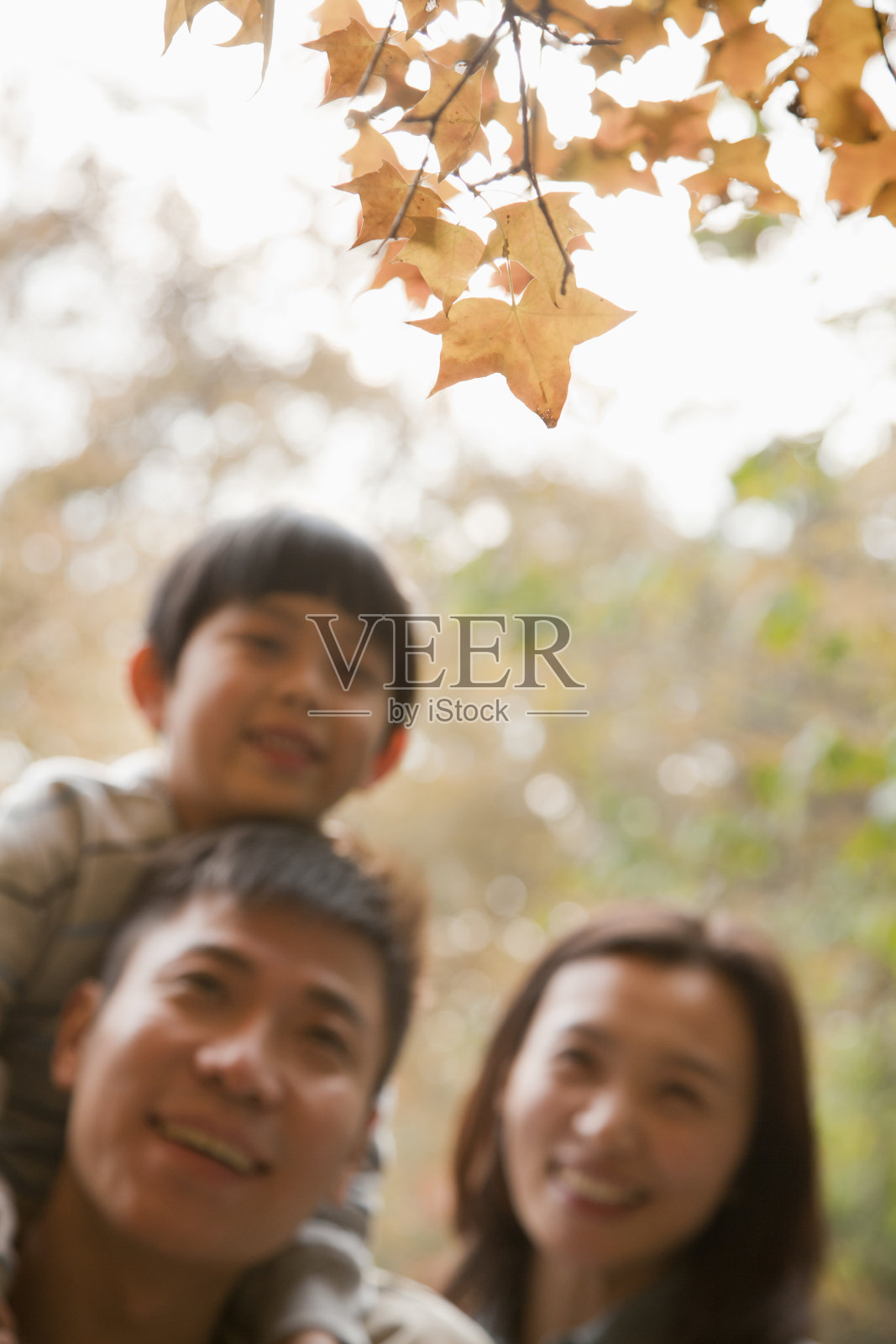 秋天一家人在公园里散步照片摄影图片