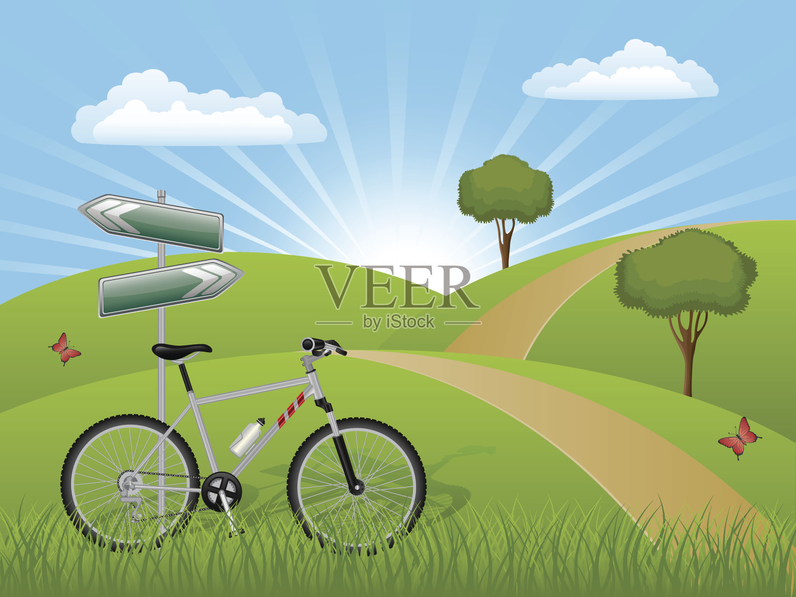 夏季景观自行车插画图片素材