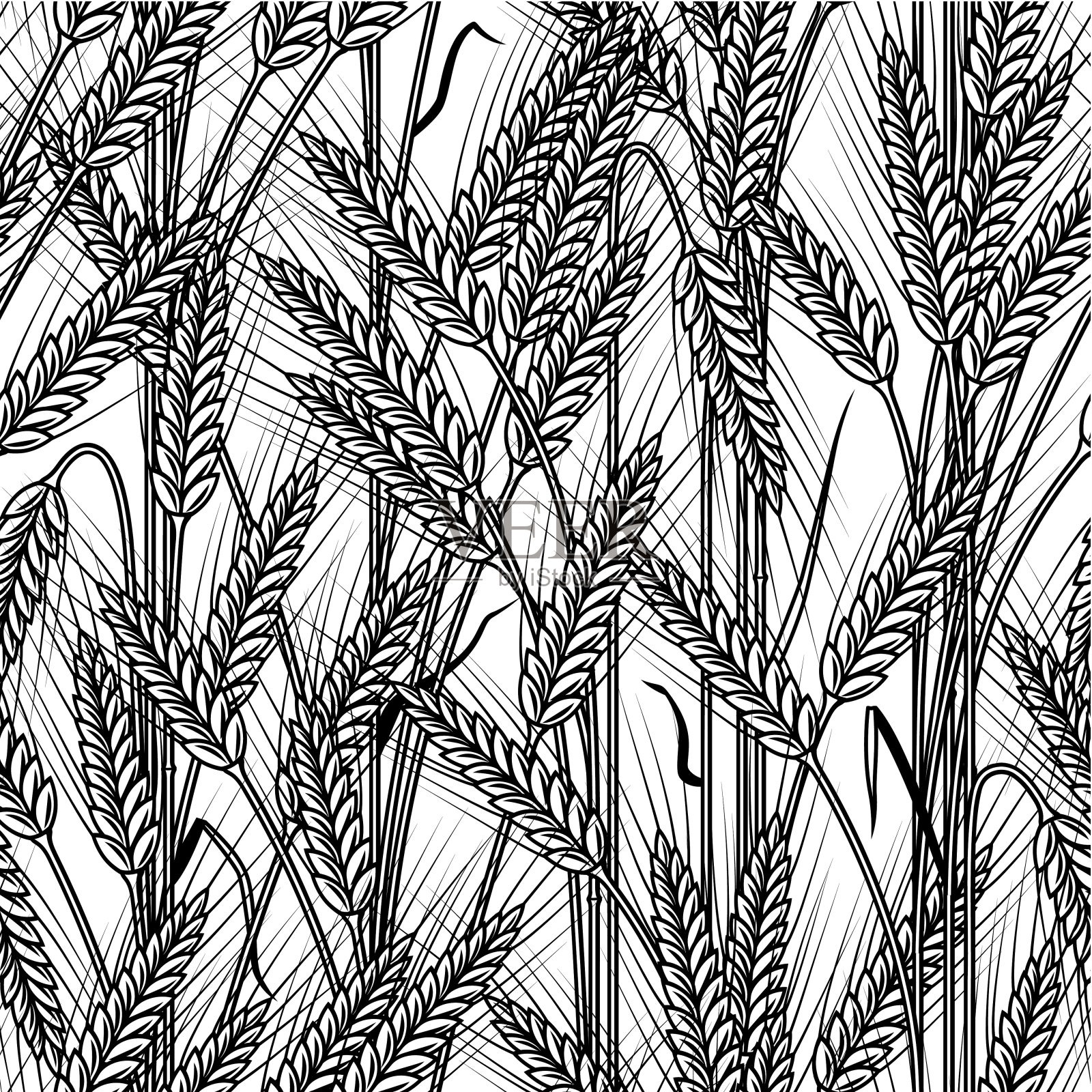 无缝隙的谷物穗背景为黑色和白色插画图片素材