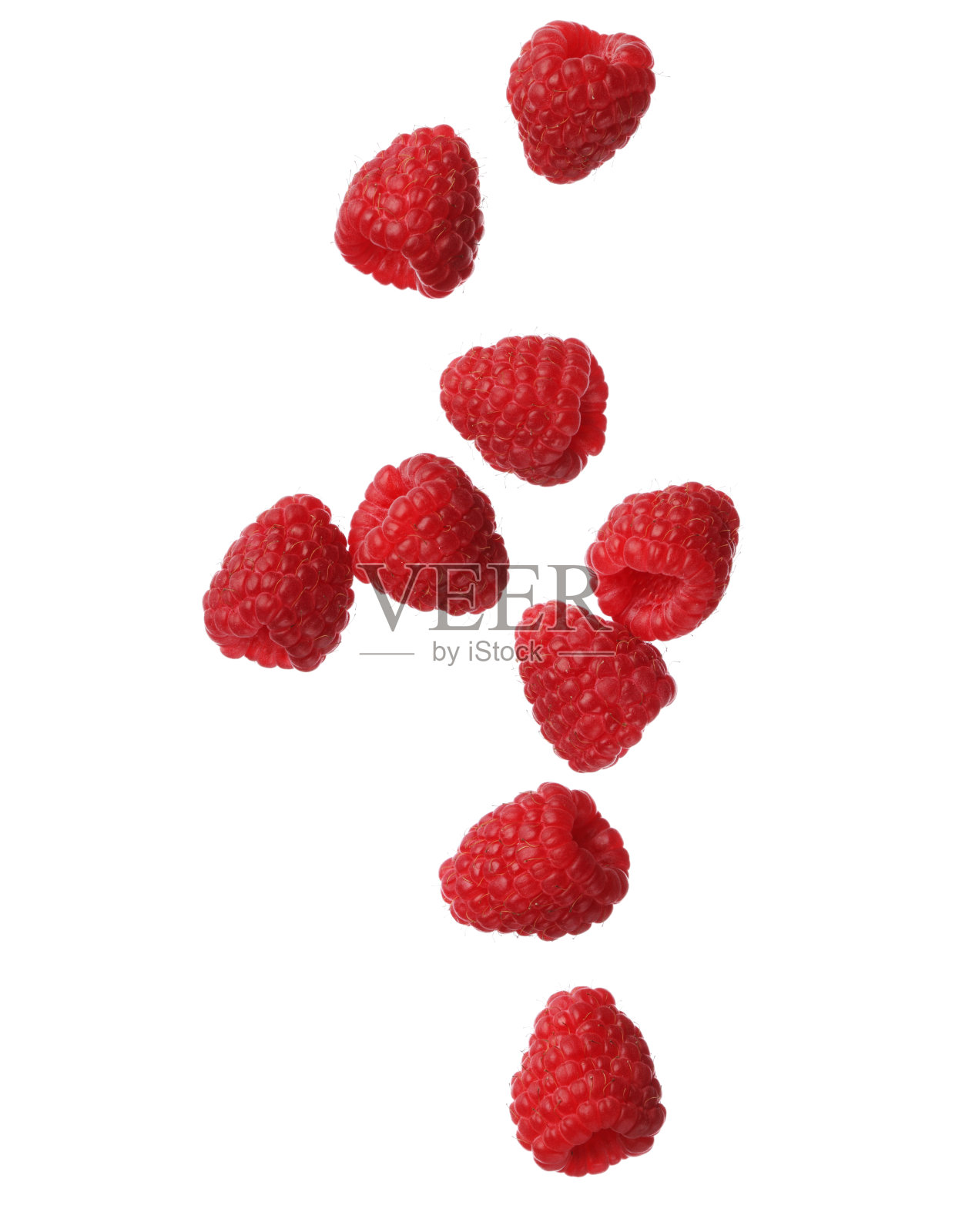 树莓孤立在白色背景，特写照片摄影图片