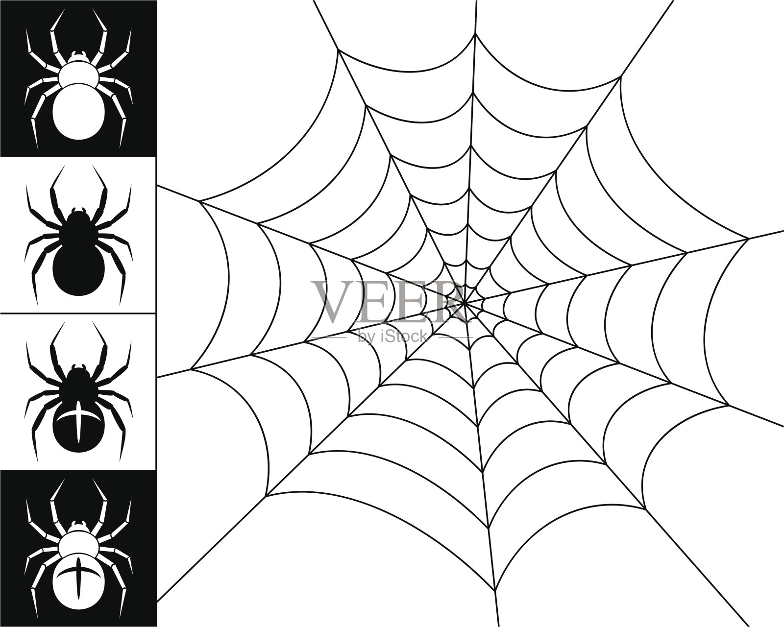 蜘蛛和网络插画图片素材