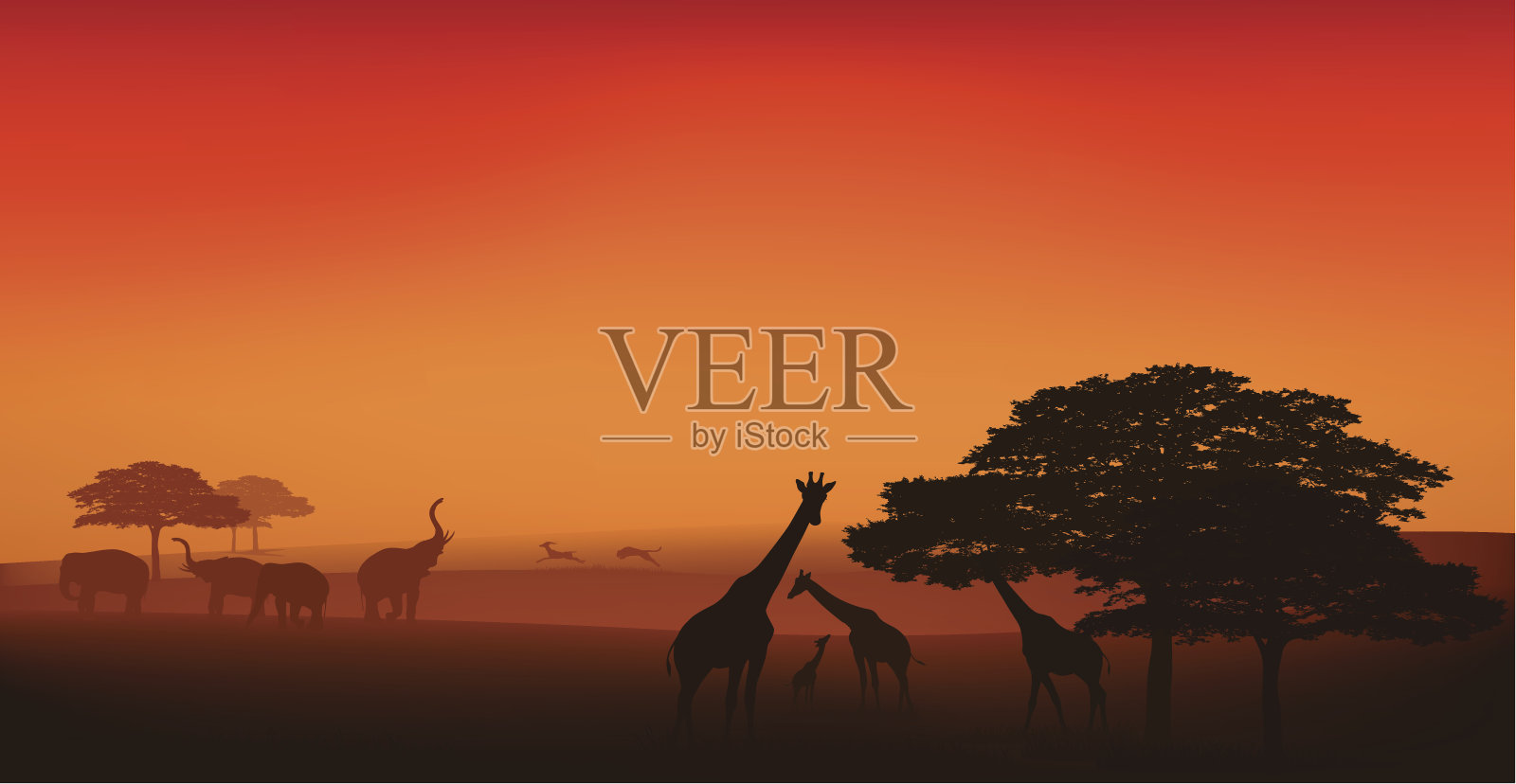 非洲野生动物插画图片素材