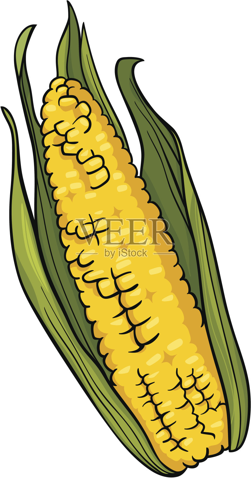 穗轴上的玉米卡通插图插画图片素材