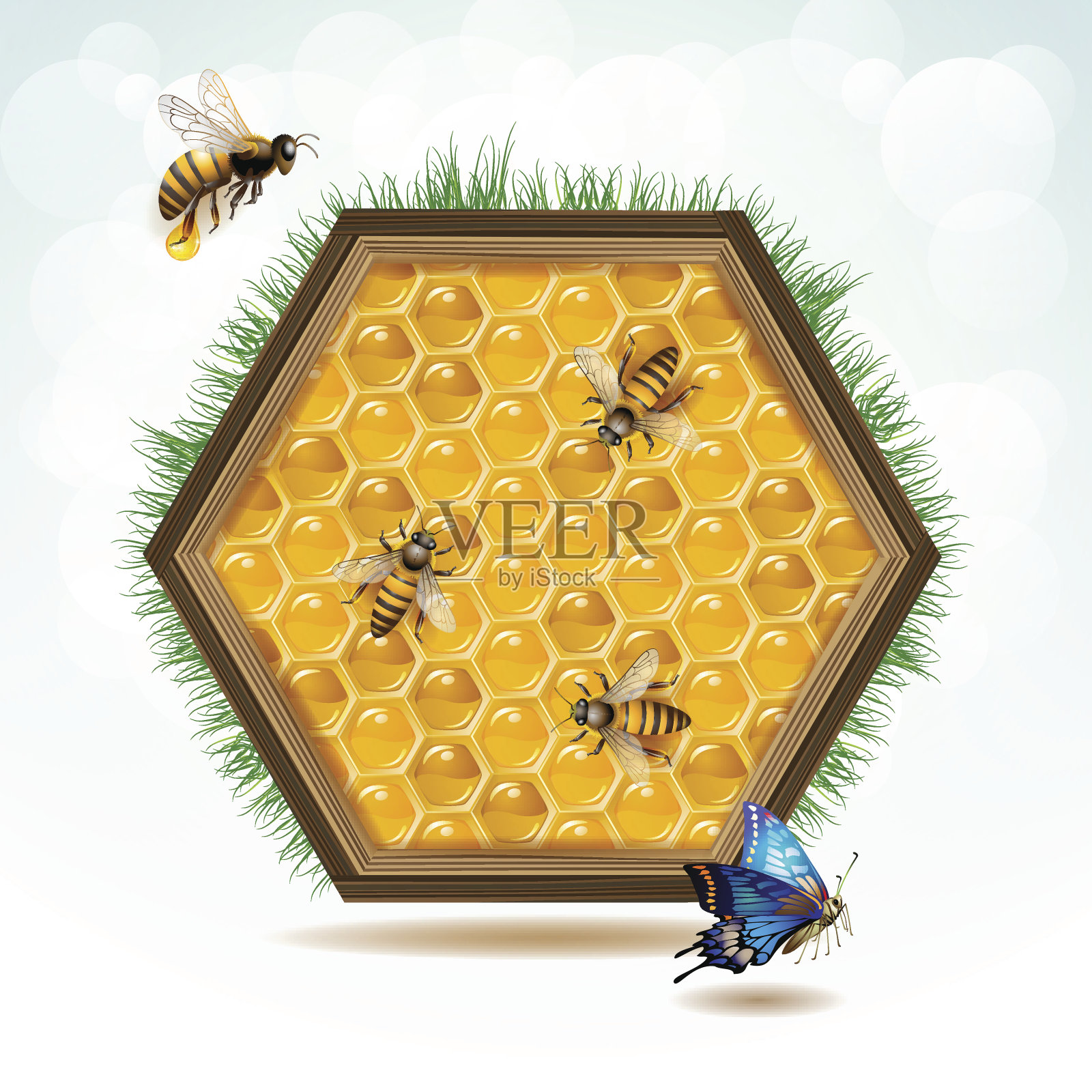 蜜蜂和蜂窝插画图片素材