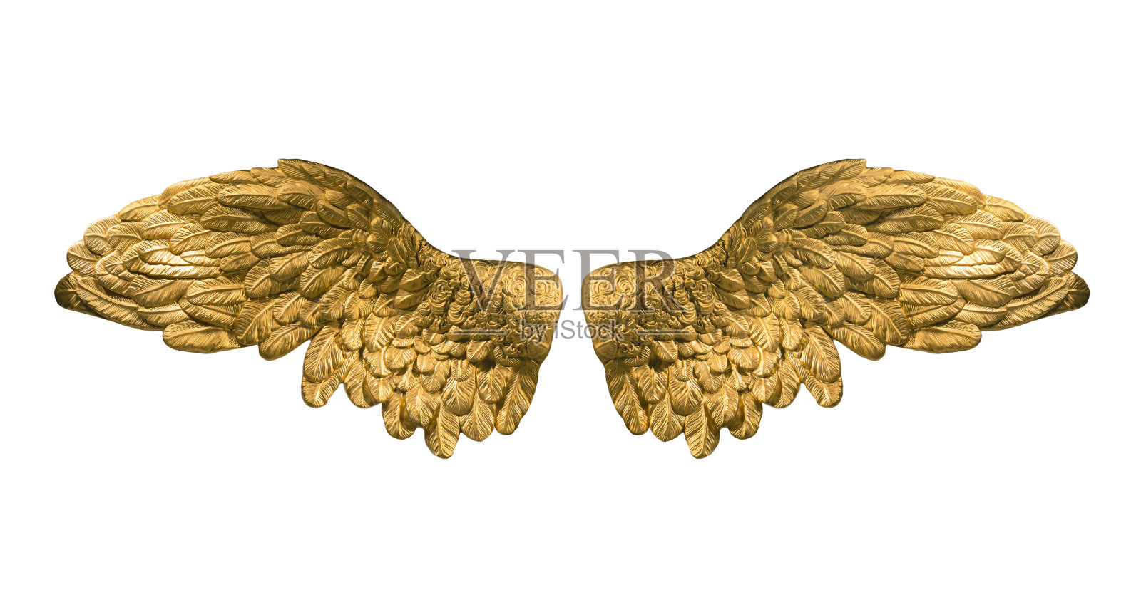 光栅版的金色翅膀照片摄影图片