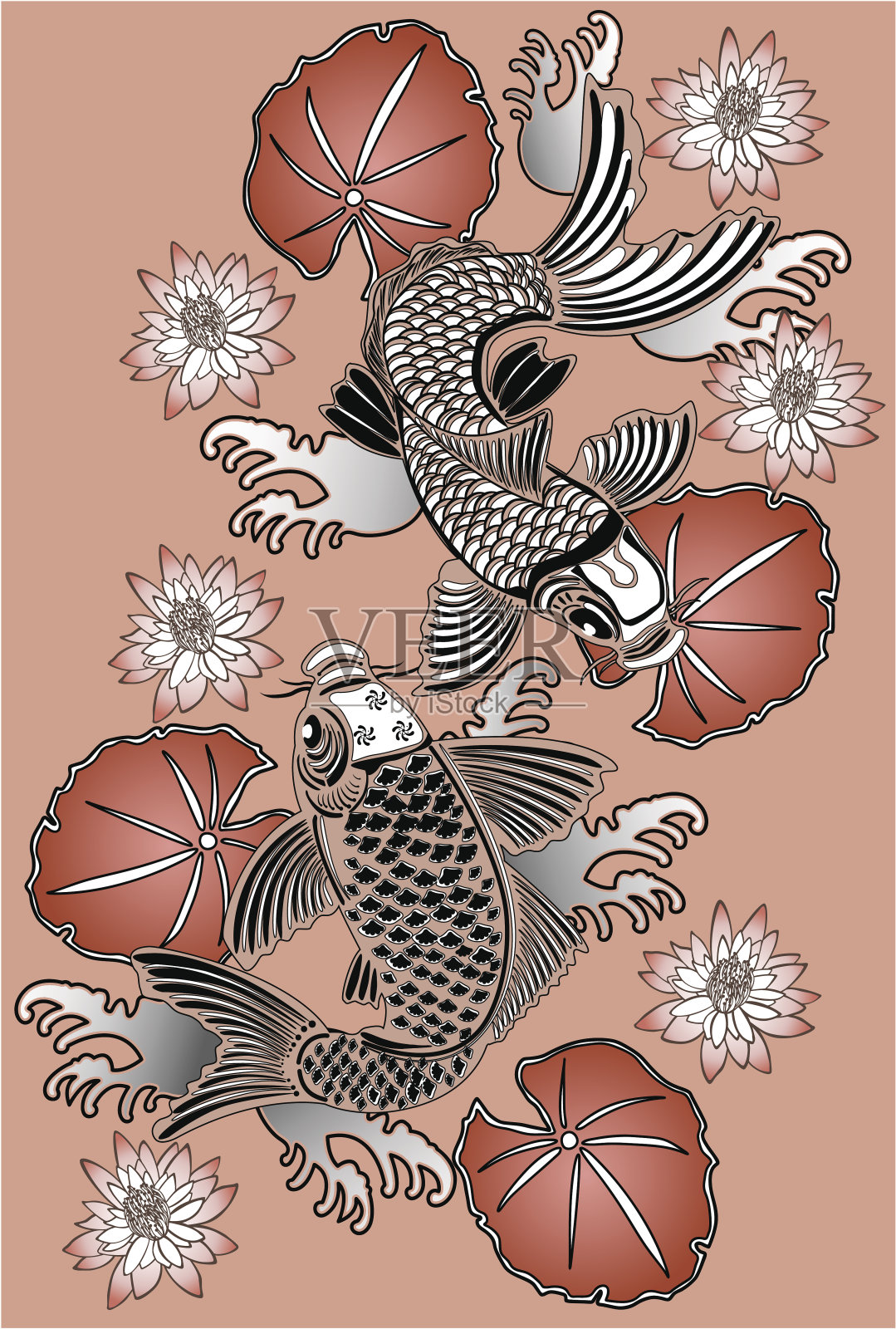 锦鲤鱼插画图片素材