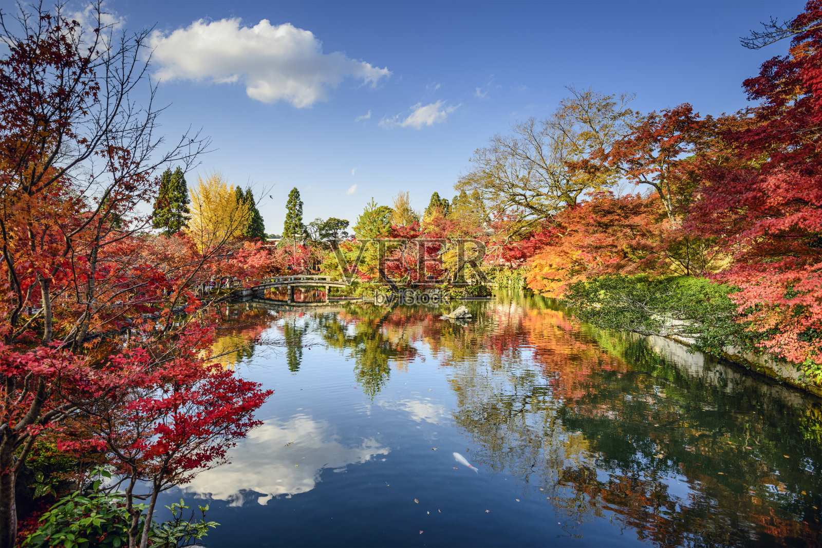 日本京都的秋叶照片摄影图片