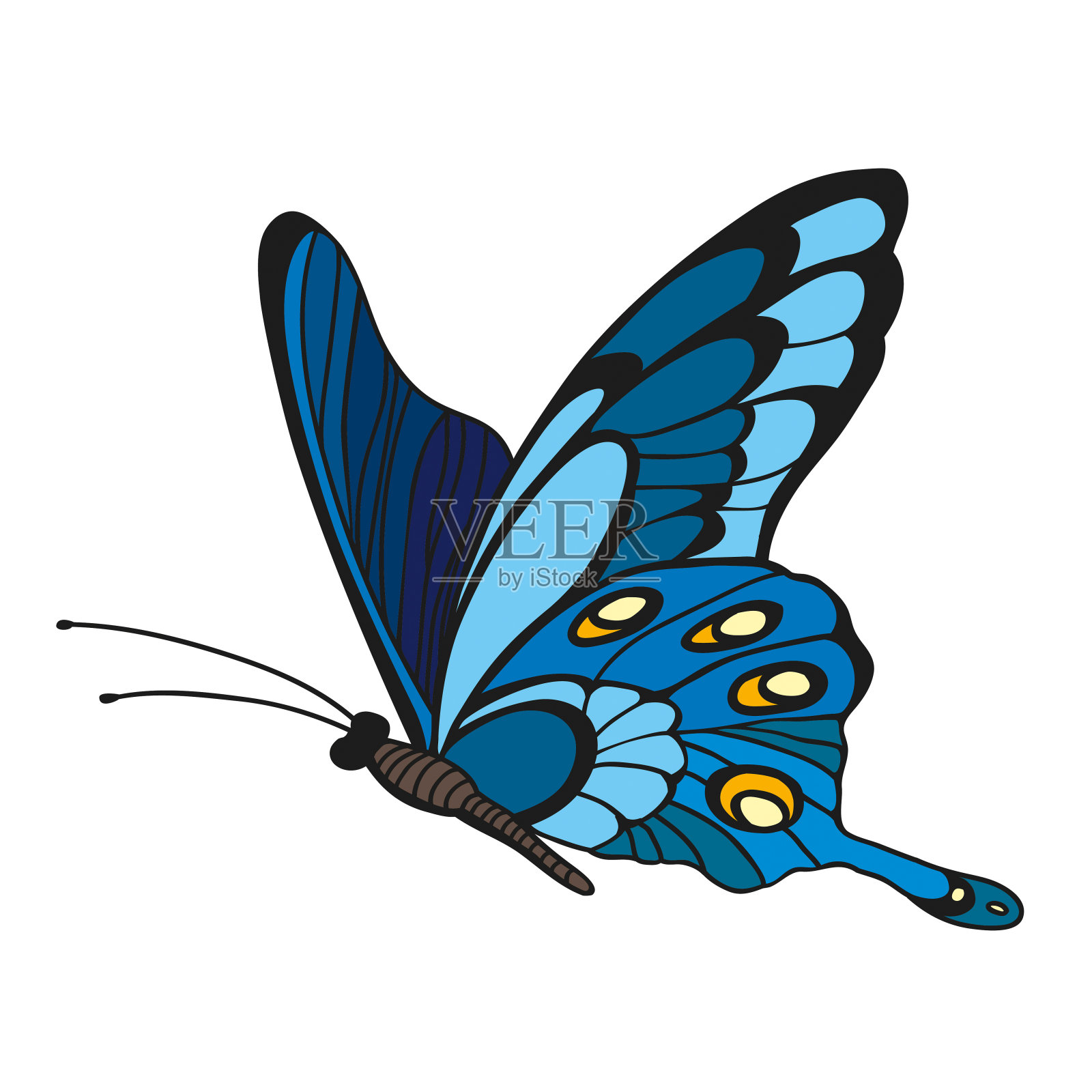 蓝色的蝴蝶设计元素图片