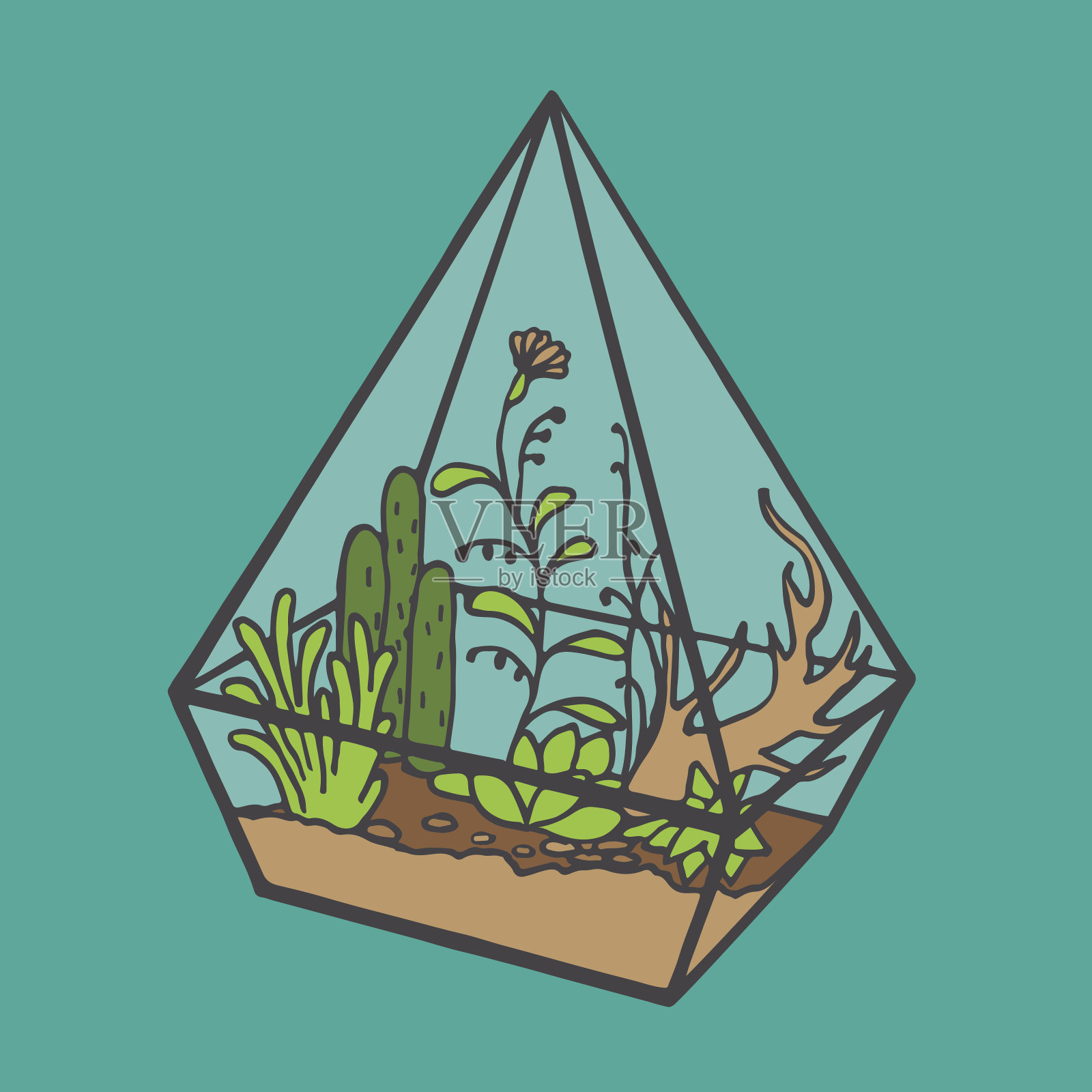 多肉植物的玻璃多角形容器插画图片素材