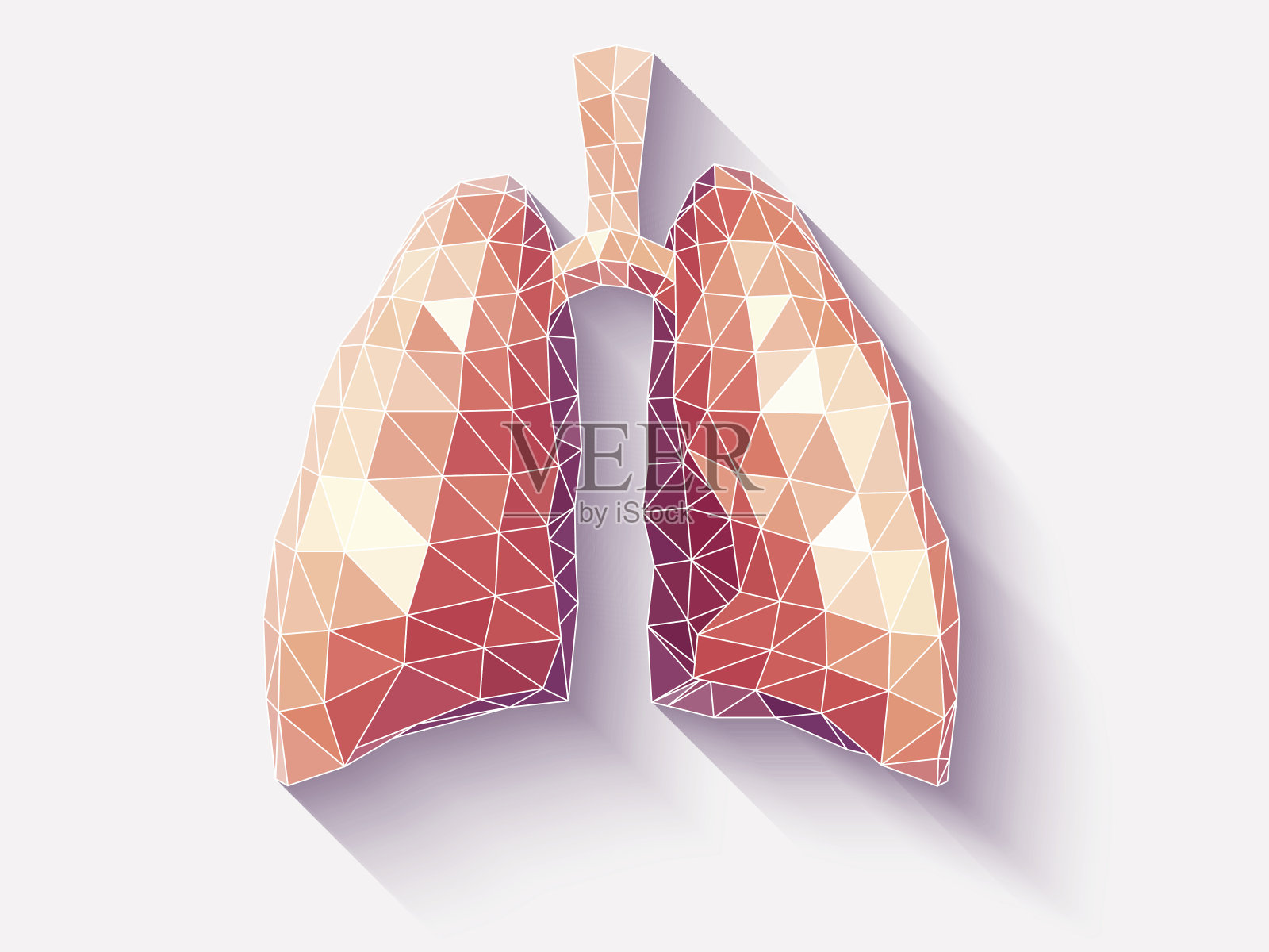 肺聚在上雕琢平面的插画图片素材