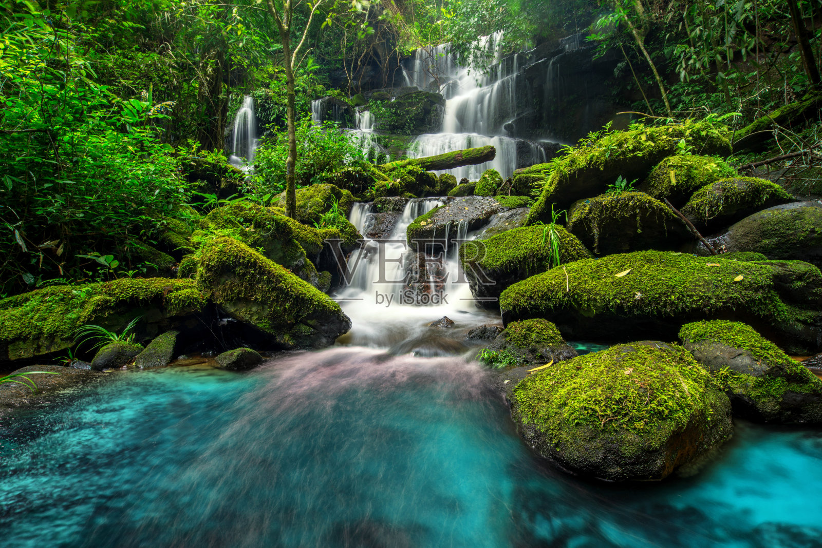 美丽的瀑布在丛林的绿色森林照片摄影图片