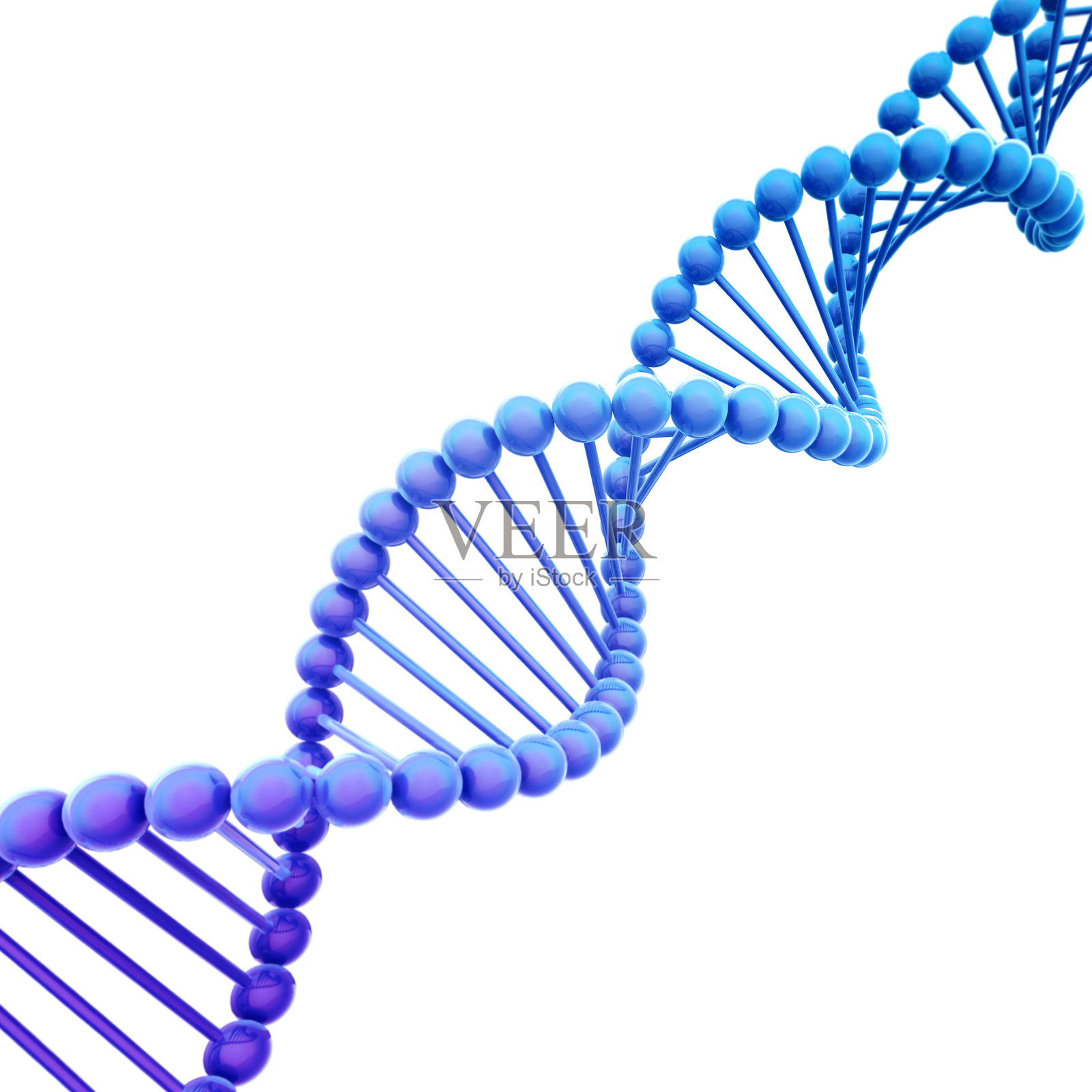 白色上的斜蓝色DNA螺旋照片摄影图片