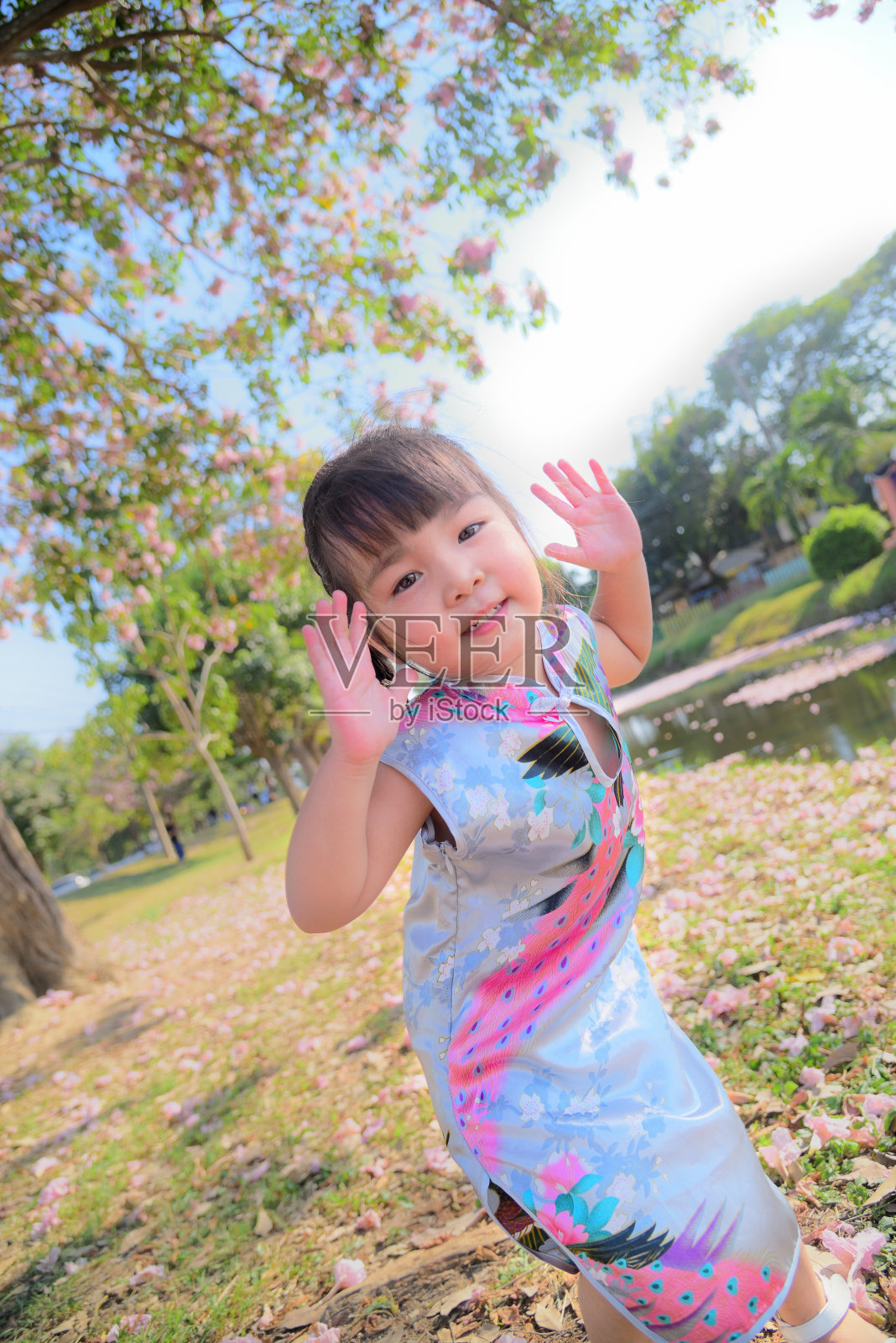 穿着中式服装的女孩在粉红色的喇叭树旁照片摄影图片