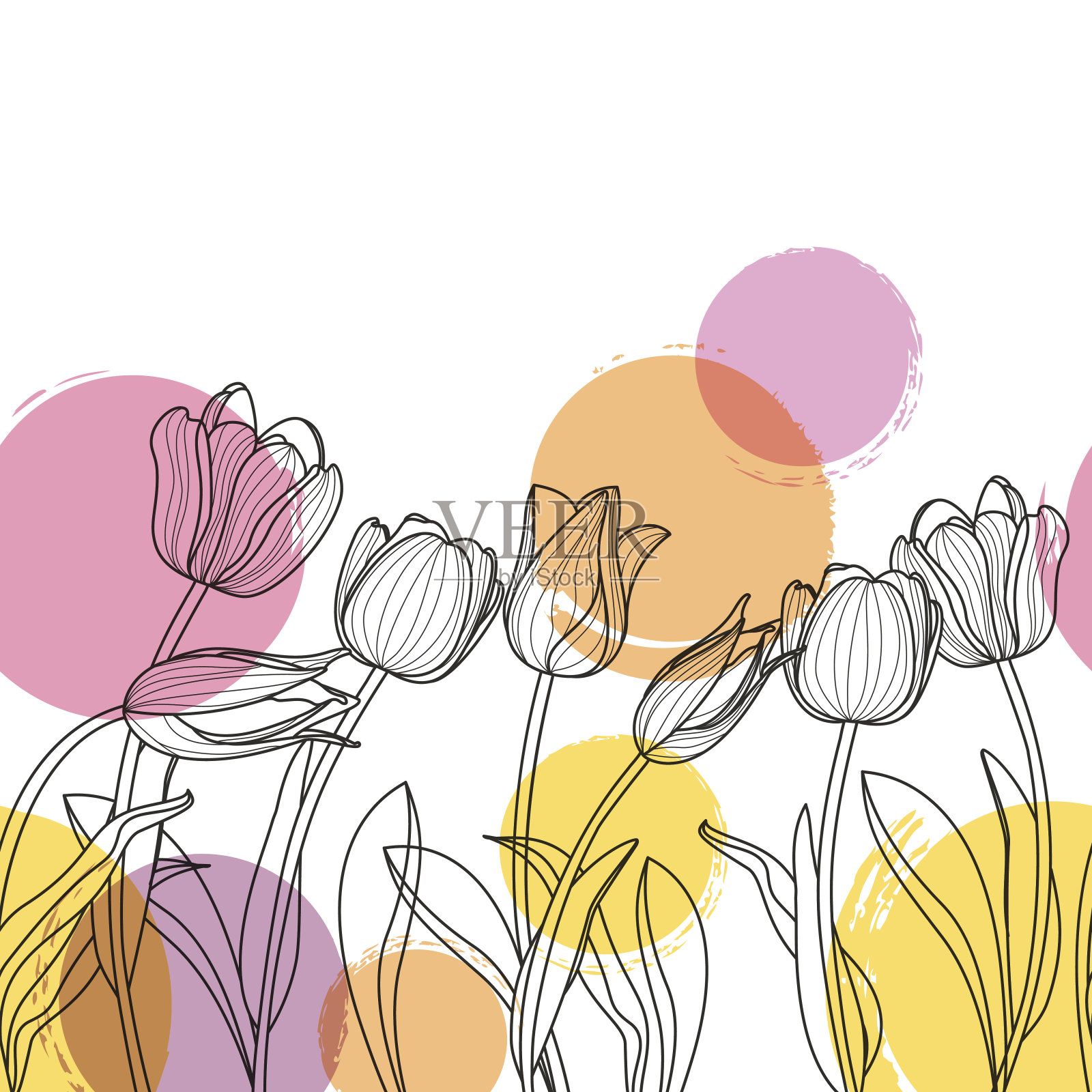黑白手绘郁金香花和水彩斑点。插画图片素材