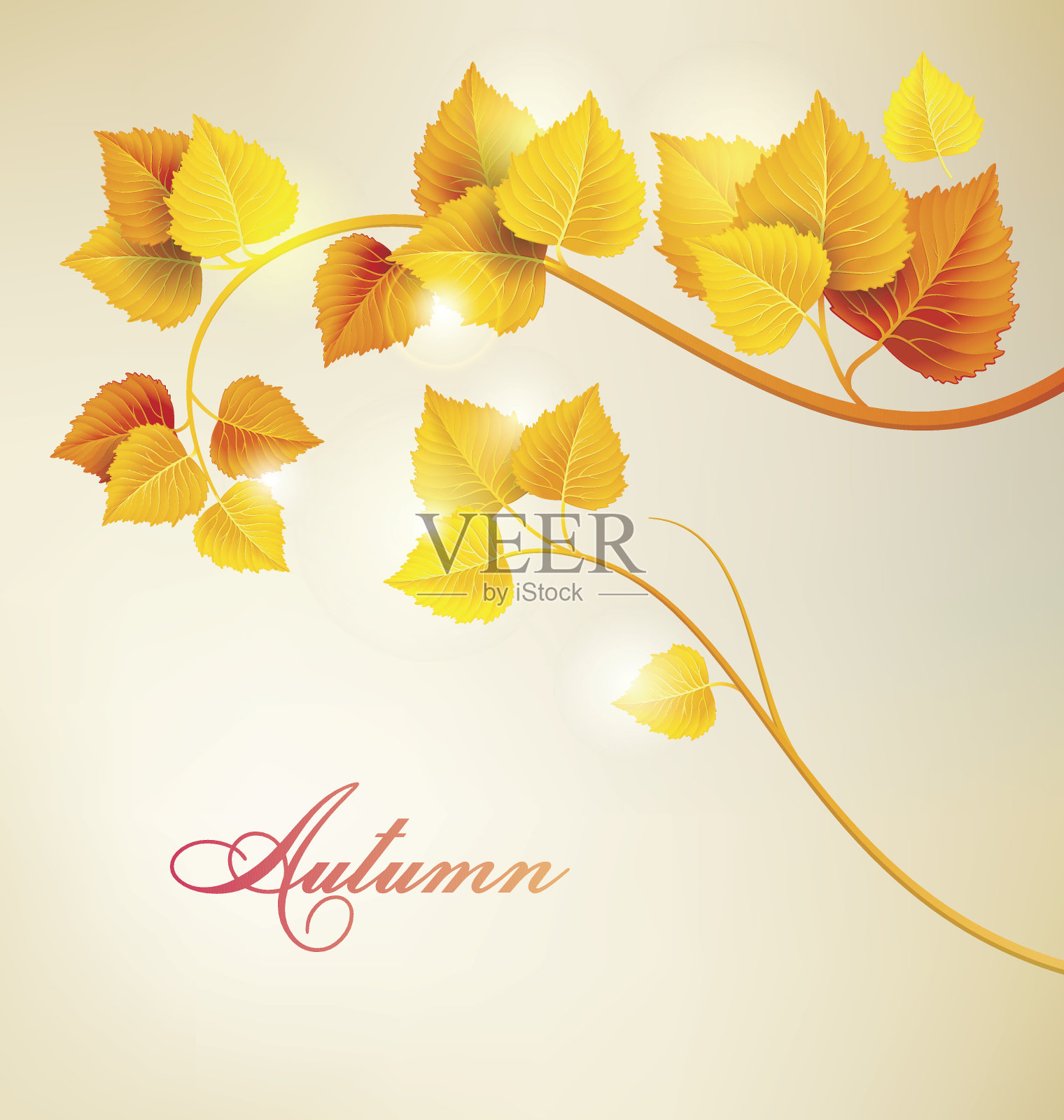 秋天的背景。分支用树叶。插画图片素材